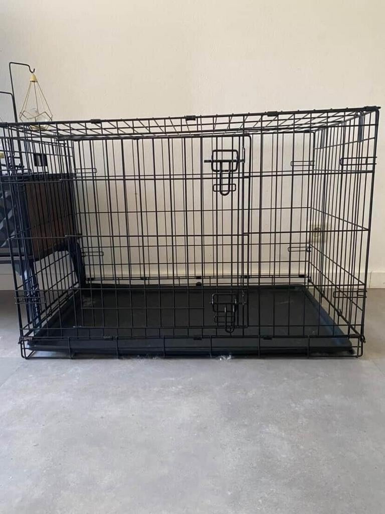 Te koop, Dieren en Toebehoren, Ophalen