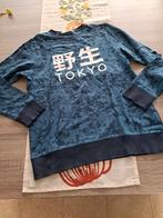 H&M longsleeve Tokyo 158/164, Kinderen en Baby's, Kinderkleding | Maat 158, H&M, Ophalen of Verzenden, Zo goed als nieuw, Shirt of Longsleeve