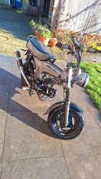 Skyteam Skymax50 Dax, 4 vitesses, Skyteam, Classe B (45 km/h), Enlèvement