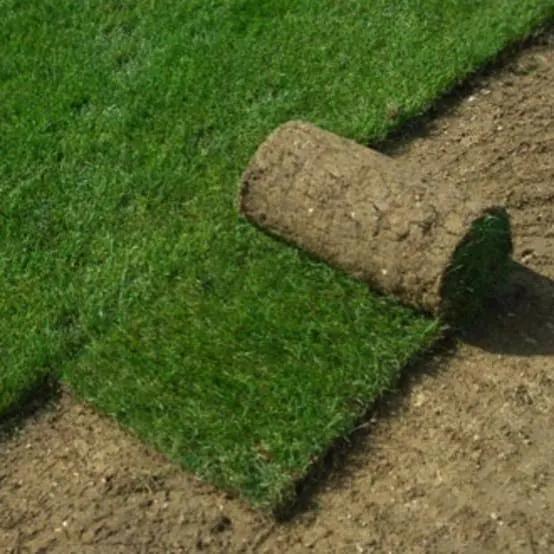 Gazon naturel en rouleau, Jardin & Terrasse, Enlèvement, Comme neuf