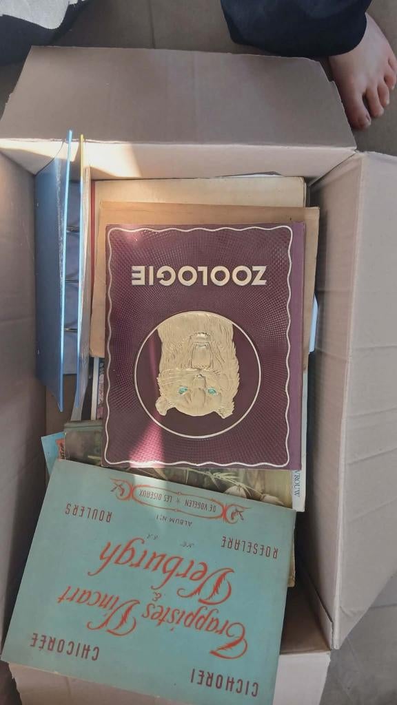 Oude boeken kerkboeken, Ophalen