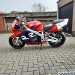 CBR 900, Motos, Plus de 35 kW, Super Sport, Particulier, 919 cm³