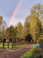 Gezocht: enthousiaste groom stalhulp