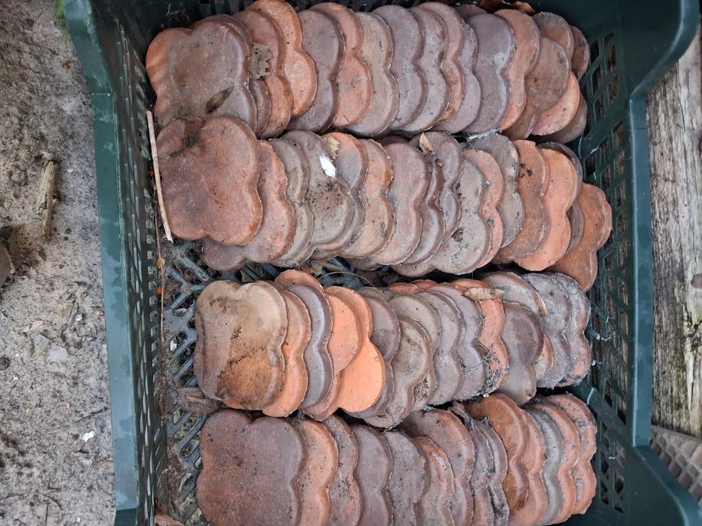 Carreaux décoratifs 6o pièces, Enlèvement