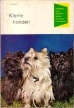 (d45) Kleine honden, Verzenden, Gelezen, Honden