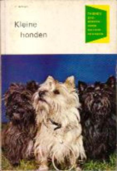 (d45) Kleine honden, Boeken, Dieren en Huisdieren, Gelezen, Honden, Verzenden