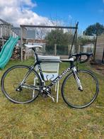 Koersfiets Colnago CX-1 EVO Carbon! campagnolo Chorus 11s, Fietsen en Brommers, 28 inch, Carbon, Heren, Meer dan 20 versnellingen
