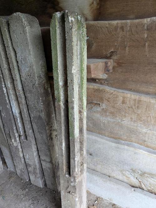 Gebruikte betonnen afsluiting, palen en platen, Doe-het-zelf en Bouw, Overige Doe-Het-Zelf en Bouw, Gebruikt, Ophalen