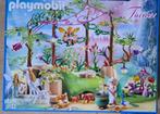 Playmobil fairies 9132 (met doos en handleiding), Kinderen en Baby's, Speelgoed | Playmobil, Ophalen, Gebruikt, Complete set