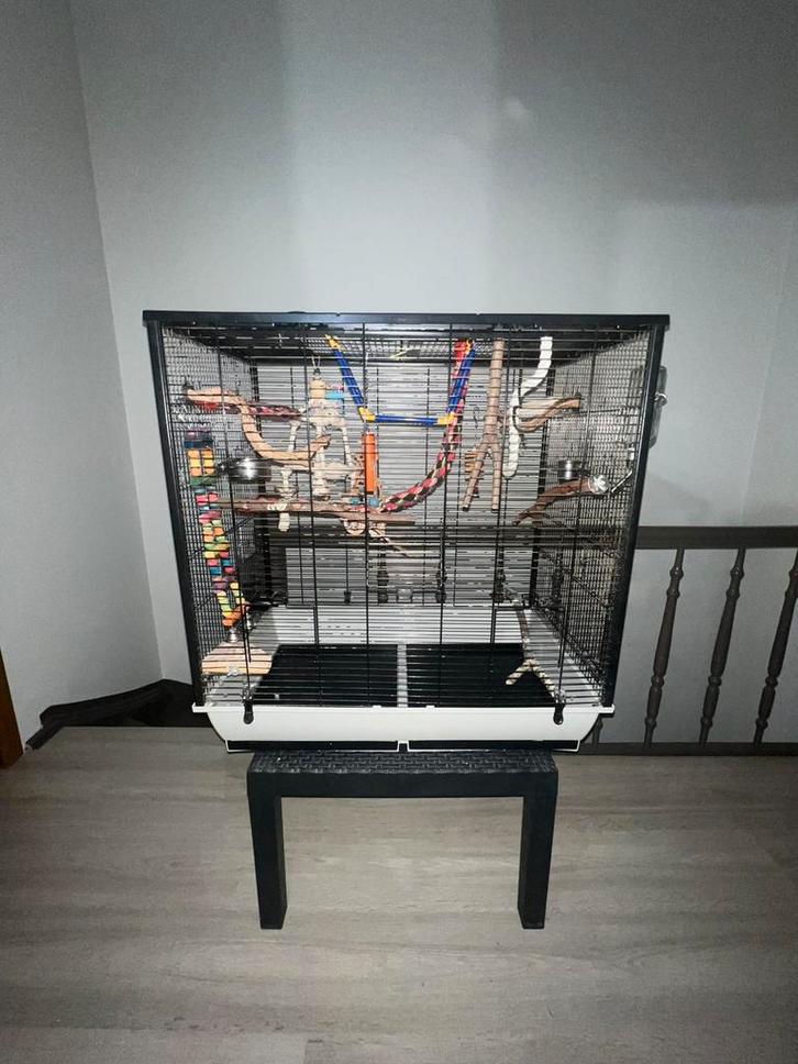 Cage à oiseaux, Animaux & Accessoires, Oiseaux | Cages & Volières, Comme neuf, Cage à oiseaux, Enlèvement