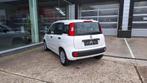 FIAT PANDA 1.2B, Auto's, Fiat, Voorwielaandrijving, Stof, Panda, Wit