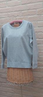 Truitje maat s/m yessica, Vêtements | Femmes, Pulls & Gilets, Taille 38/40 (M), Enlèvement ou Envoi, Autres couleurs, Yessica