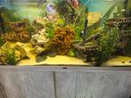 Aquarium aquatlantis, Dieren en Toebehoren, Ophalen, Zo goed als nieuw