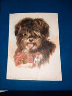 prachtige oude litho prent hond, Verzamelen, Foto's en Prenten, Ophalen of Verzenden, Zo goed als nieuw, Voor 1940, Dier