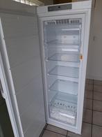 Diepvries, 160 cm of meer, Zo goed als nieuw, Ophalen, Vrieskast