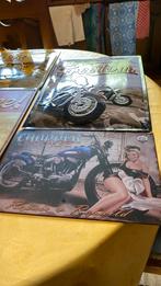 Vier metalen reclamepanelen,alle vier te samen., CD & DVD, Vinyles | Hardrock & Metal, Comme neuf, Enlèvement ou Envoi