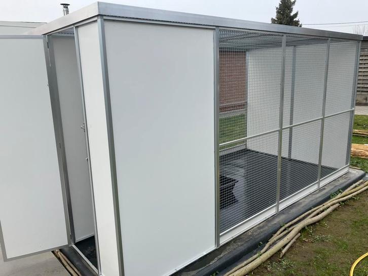 Kooi zoekt vogel, Dieren en Toebehoren, Vogels | Parkieten en Papegaaien, Papegaai, Tam, Geringd