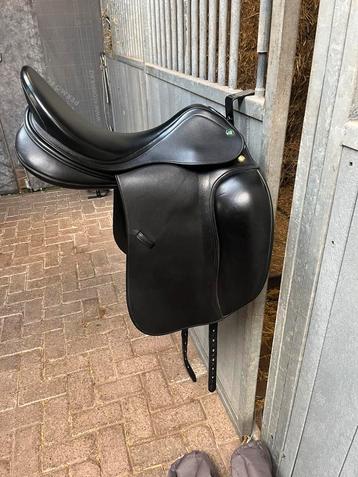 Prestige top dressage beschikbaar voor biedingen