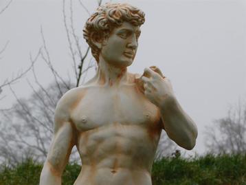 tuinbeeld david, Tuin en Terras, Tuinbeelden, Ophalen of Verzenden, Nieuw