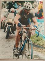 Photo agrandie : Johan Museeuw Paris Roubaix, Enlèvement ou Envoi