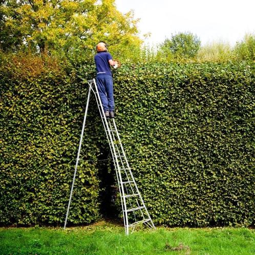 tuinladder snoeiladder plukladder driepootladder, Tuin en Terras, Heggenscharen, Nieuw, Ophalen of Verzenden