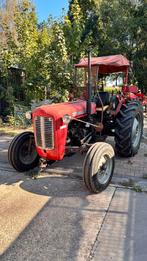 Oldtimer Massey Ferguson tractor, Ophalen, Massey Ferguson