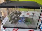 Aquarium 60 liter + diverse accessoires, Ophalen, Gebruikt