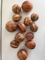Kalebassen - decoratie. 13 stuks., Ophalen, Gebruikt