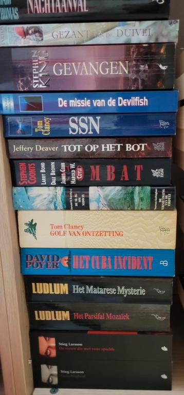 Lot romans, boeken, thrillers  beschikbaar voor biedingen