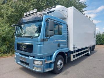 MAN TGM 12.290 (15.290) sleep cab - Thermoking T 800 R TOP! beschikbaar voor biedingen