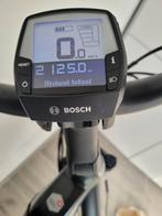 Elektrische Fiets Flyer, Fietsen en Brommers, Ophalen of Verzenden