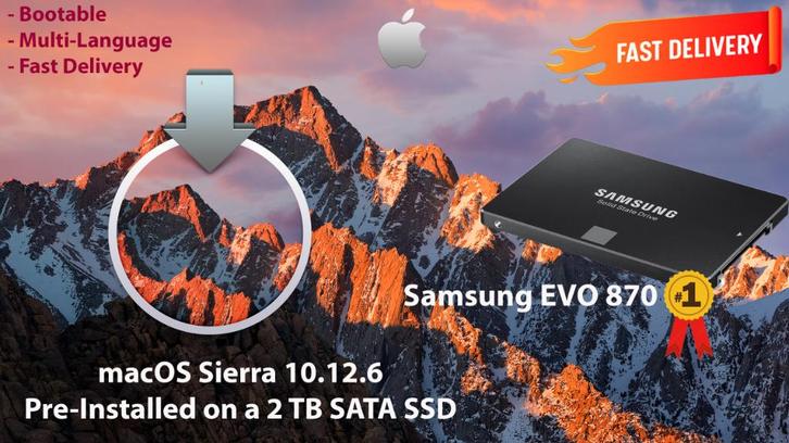 macOS Sierra 10.12.6 VoorGeïnstalleerd op SSD van 2TB OSX, Computers en Software, Besturingssoftware, Nieuw, MacOS, Verzenden