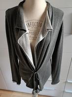 Cardigan Pauline B gris, Kleding | Dames, Ophalen of Verzenden, Zo goed als nieuw, Grijs