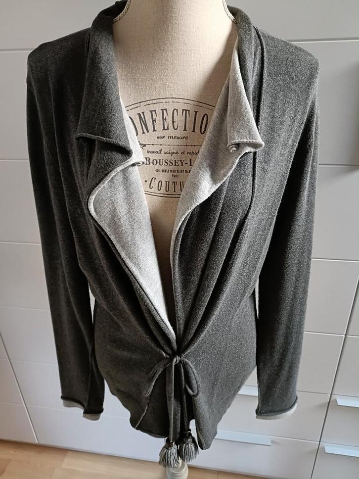 Cardigan Pauline B gris, Kleding | Dames, Truien en Vesten, Zo goed als nieuw, Grijs, Ophalen of Verzenden