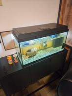 Aquarium, Ophalen of Verzenden