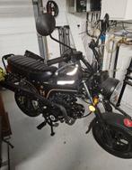 Moto bluroc héritage 125 dax, Enlèvement, 1 cylindre, Jusqu'à 11 kW