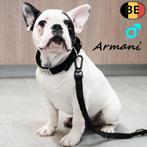 Franse Bulldog, Armani & Astro - Belgische reuen te koop, Dieren en Toebehoren, België, 15 weken tot 1 jaar, CDV (hondenziekte)