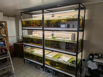 Aquarium stelling 6 keer 100l*50b*30h cm (150l) beschikbaar voor biedingen