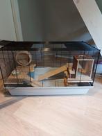 Kooi voor knaagdieren, Ophalen, Gebruikt, Kooi, Hamster