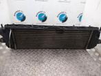 RENAULT TRAFIC 2.0 DCI T29 L2H1 DC Eco Black  [INTERCOOLER], Ophalen of Verzenden, Gebruikt, Stiba lid