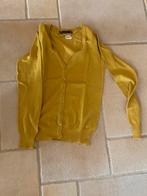 Cardigan small zara, Kleding | Dames, Ophalen of Verzenden