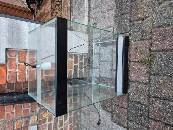 Verticale terrarium voor bv gecko, Dieren en Toebehoren, Reptielen en Amfibieën | Toebehoren, Zo goed als nieuw, Ophalen