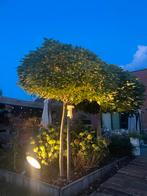 Industriële lamp sfeerverlichting tuin 45 cm, Ophalen, Zo goed als nieuw