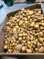 Voederaardappelen, Zakelijke goederen, Landbouw | Aardappelen, Groenten, Fruit en Vlees, Ophalen