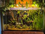 Compleet aquarium van 420 liter, Dieren en Toebehoren, Vissen | Aquaria en Toebehoren, Ophalen, Zo goed als nieuw