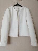 Jasje, Neuf, Taille 38/40 (M), Enlèvement ou Envoi, Bel & Bo