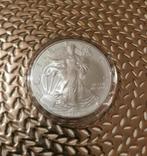 Silver Eagle 1 oz Troy zilver puur metaal "999%”, Ophalen, Zilver