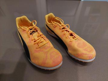PUMA evoSPEED Star 8 atletiek spikes maat 38,5, Autres marques, Course à pied, Comme neuf, Enlèvement