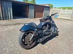Harley-Davidson Night Rod, Motoren, Motoren | Harley-Davidson, Particulier