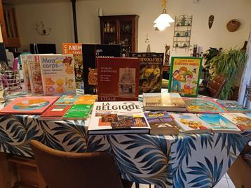 Lot de livres beschikbaar voor biedingen